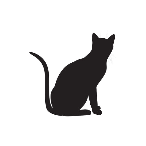 Cat Sticker 16 - cartattz1.myshopify.com