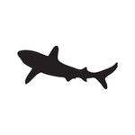 Shark Sticker 19. - cartattz1.myshopify.com