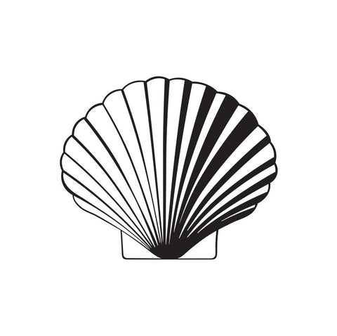 Sea Shell Sticker 5 - cartattz1.myshopify.com