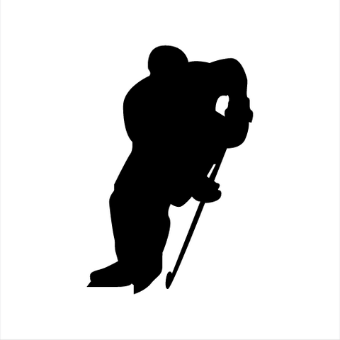 Hockey Sticker 2 - cartattz1.myshopify.com
