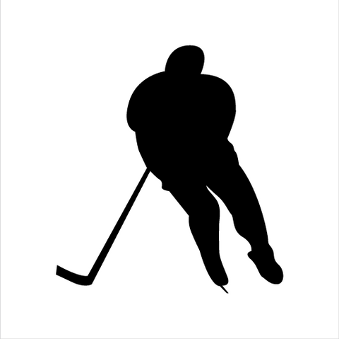 Hockey Sticker 4 - cartattz1.myshopify.com