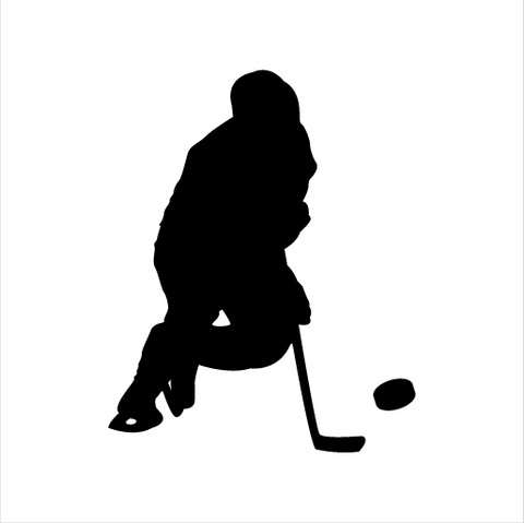 Hockey Sticker 5 - cartattz1.myshopify.com